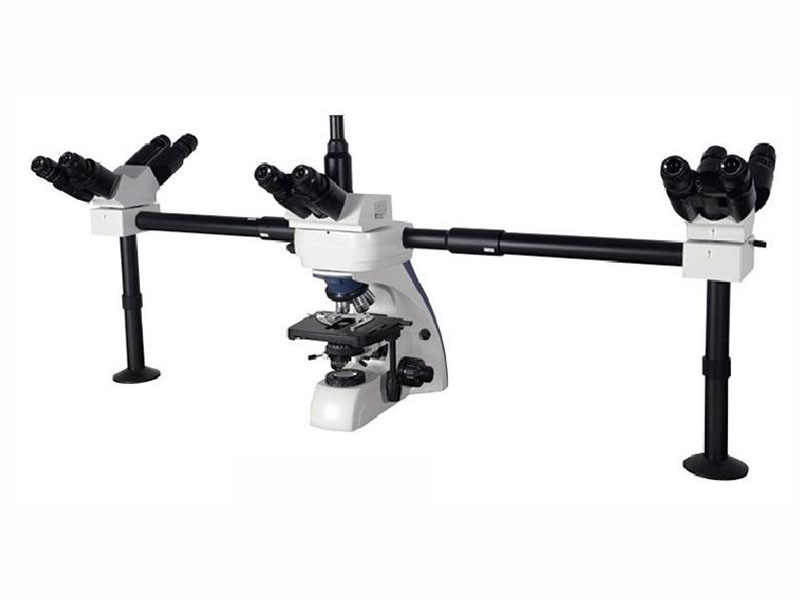 XS2-510 Multi-viewing  Demonstration  Biological  Microscope