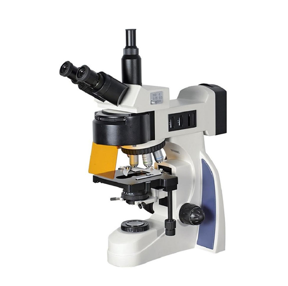 XYL-700Y Five Wave Bands LED Fluorecent Microscope 