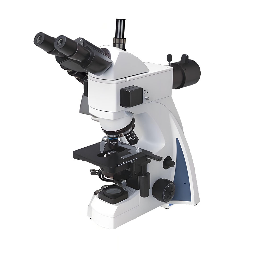 N-300F(LED) Fluorescent Microscope 