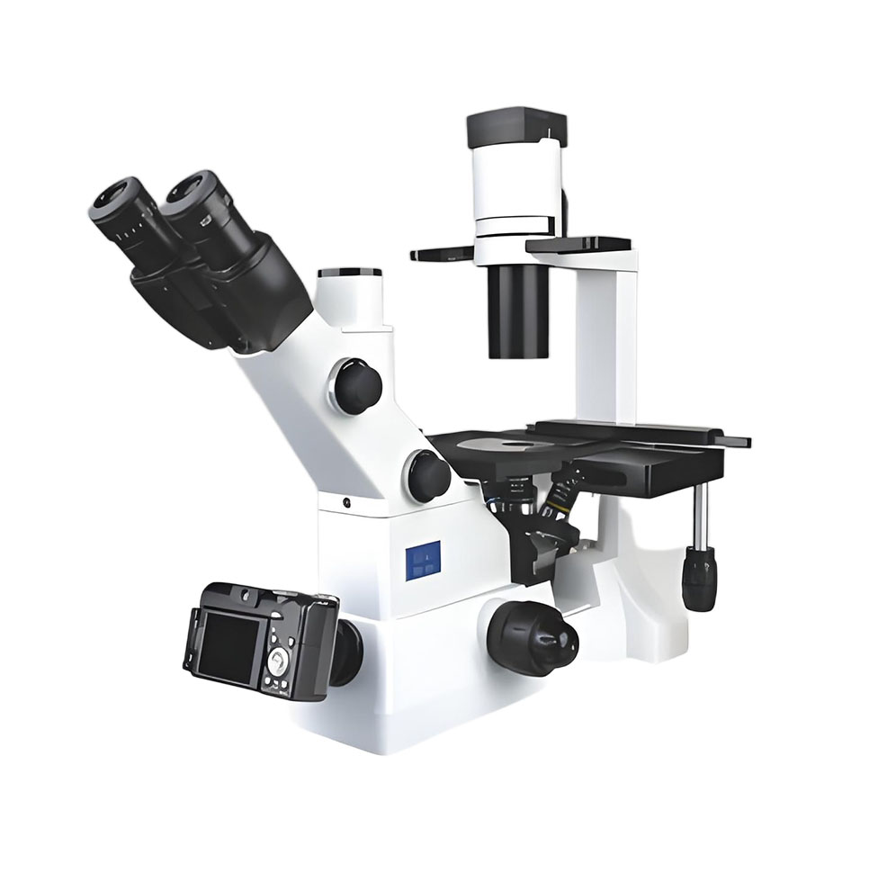 XD-202 Inverted Biological Microscope 