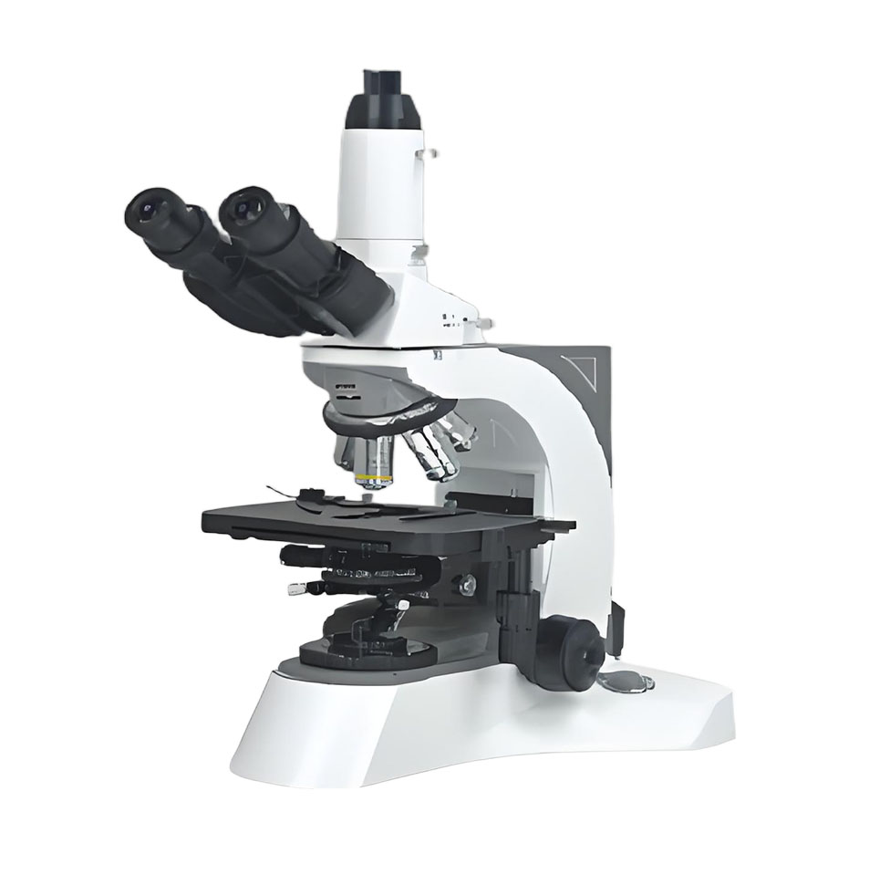 N-800M Laboratory Biological Microscope 