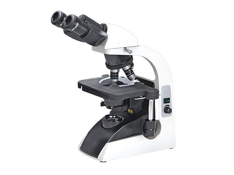 BM 2000 Biological Microscope