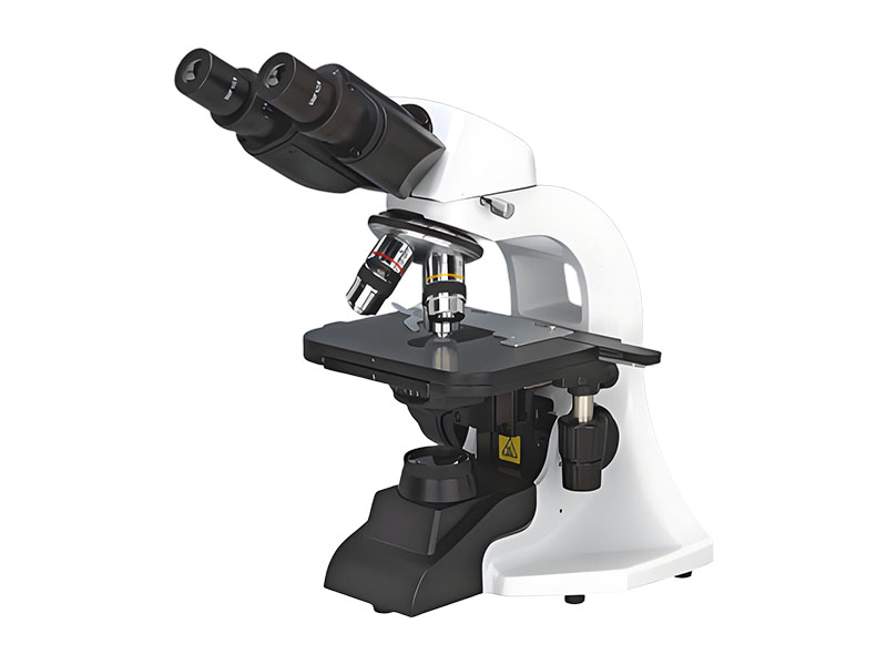 BM 1000 Biological Microscope