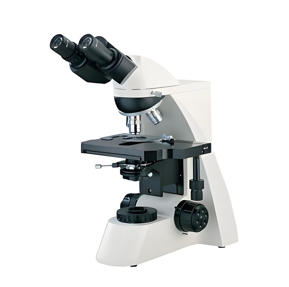 L3000 series biological microscope