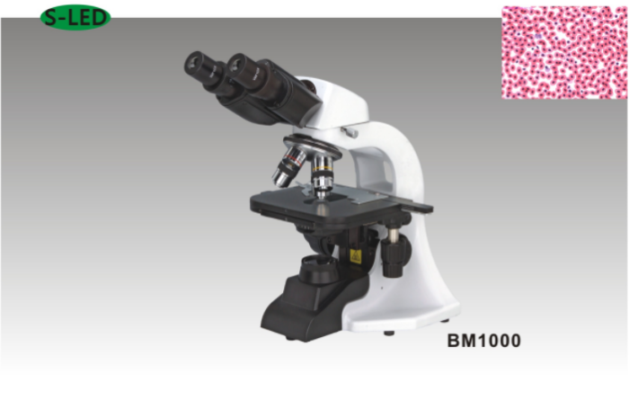 BM 1000 Biological Microscope