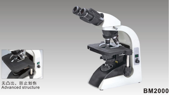 BM 2000 Biological Microscope