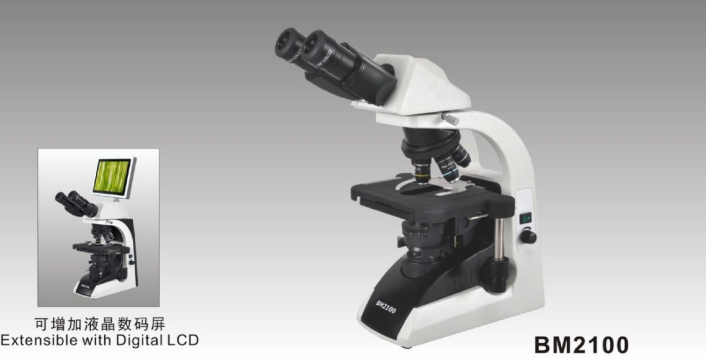 BM 2100 Biological Microscope