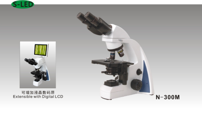 N-300M Biological Microscope