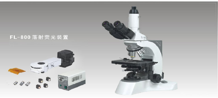 N-800M Laboratory Biological Microscope