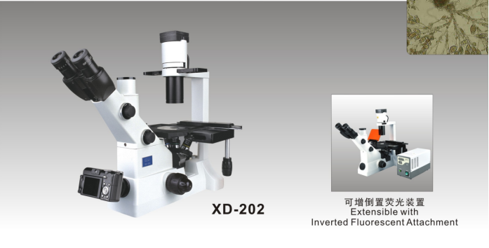 XD-202 Inverted Biological Microscope