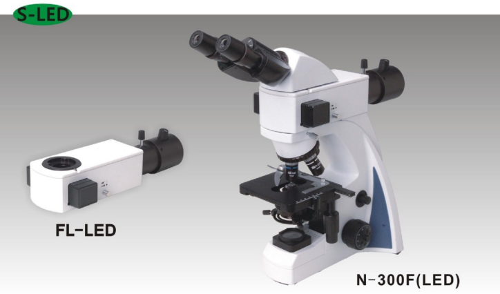 N-300F(LED) Fluorescent Microscope