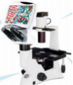 DMS Series Integrated Biological Microscope