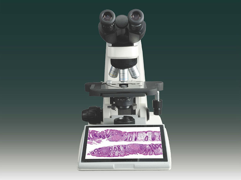 IDM2300 Digital Biological Microscope