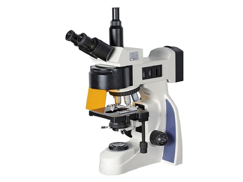 XYL-700Y Five Wave Bands LED Fluorecent Microscope