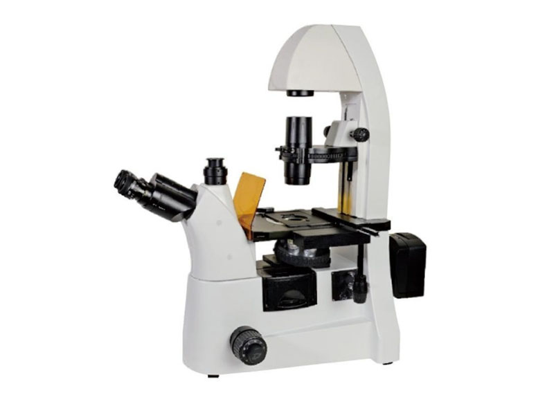 XYL-412Y Inverted Five WaveBands Fluorecent Microscope