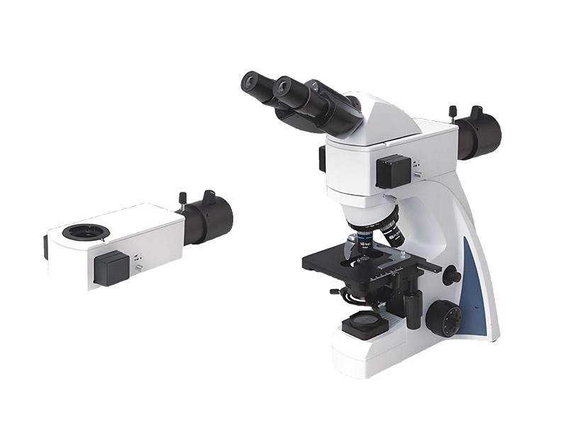 N-300F(LED) Fluorescent Microscope