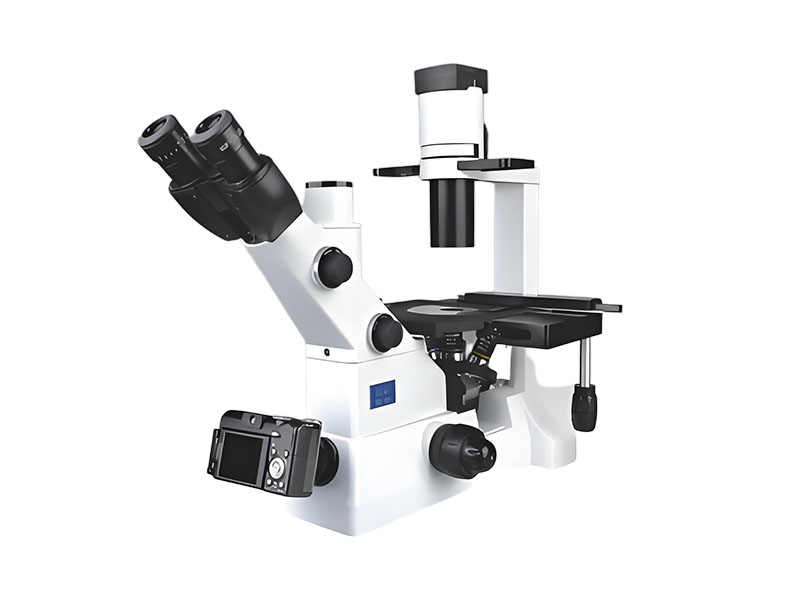 XD-202 Inverted Biological Microscope