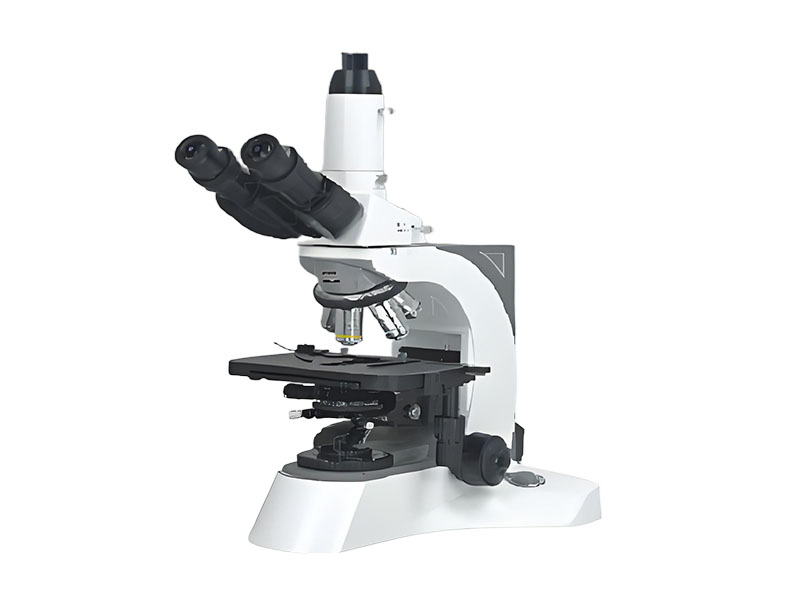 N-800M Laboratory Biological Microscope