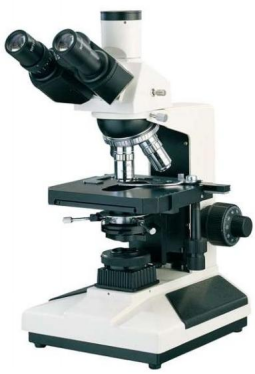 L2000  Biological  Microscope